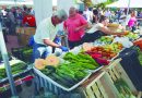 Mercado Agroecológico de Productores en  Arroyo de la Vega