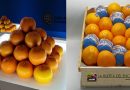 La Huerta del Encinar: Naranjas y Mandarinas