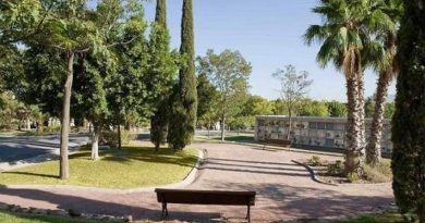 El primer cementerio público de animales de compañía de España